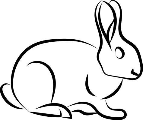 Bunny sketch, illustration, vector on white background. 13637592 Vector ...