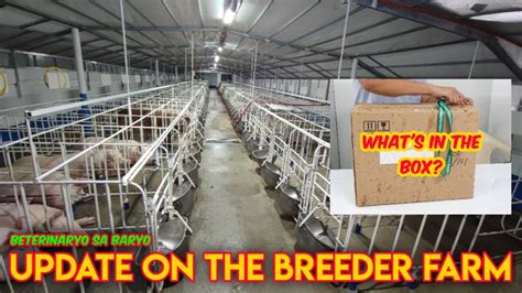 Unboxing Sa Breeder Farm Sa Rizal YouTube