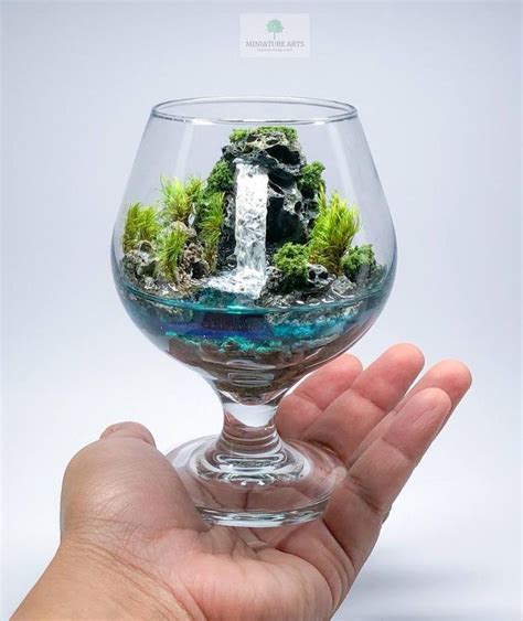 Cascada En Miniatura En Copa De Vino Terrario De Playa Etsy Espa A