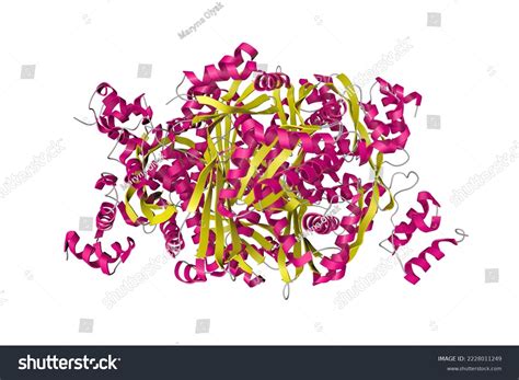 Complex Catalytic Portion Human Hmgcoa Reductase Stock Illustration