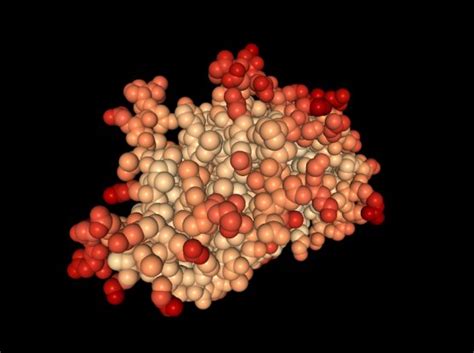 HER2 mutations can cause treatment resistance in metastatic ER-positive ...