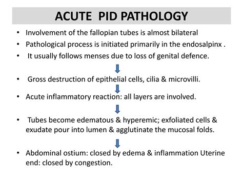 Pelvic Inflammatory Diaease Pptx