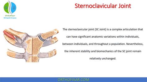 Sternoclavicular Joint • Easy Explained Orthofixar 2022