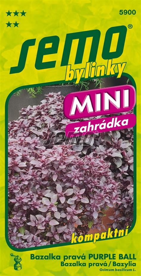 Bazalka Prav Purple Ball Kolekce Mini Zahr Dka Semo Eshop