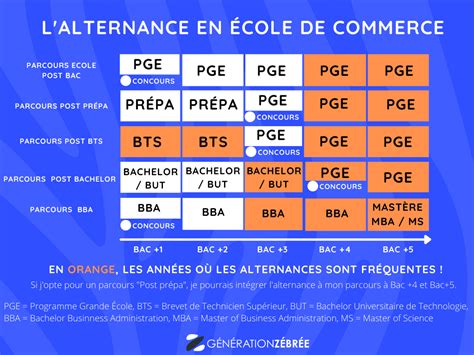 Lalternance En école De Commerce Génération Zébrée