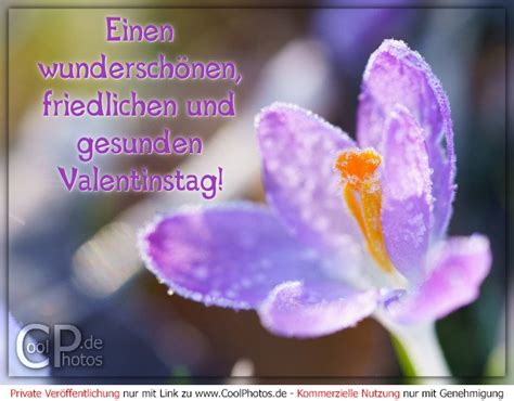 CoolPhotos de Einen wunderschönen friedlichen und gesunden Valentinstag