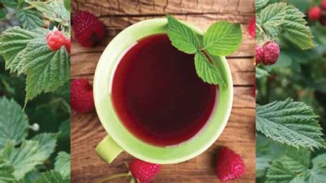 Raspberry Leaf Tea Recipe - Gennysser.com - Healthy Drinks Recipes