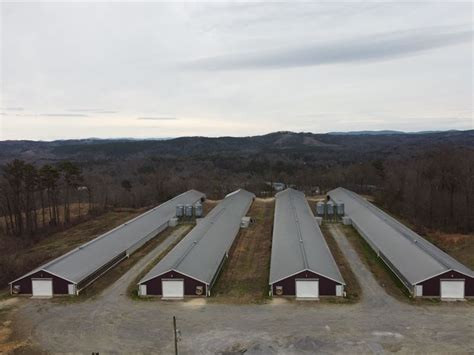 Clean 4 House Broiler Poultry Farm Farm For Sale In Georgia 368176 Farmflip