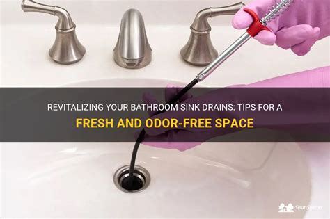 Revitalizing Your Bathroom Sink Drains Tips For A Fresh And Odor Free