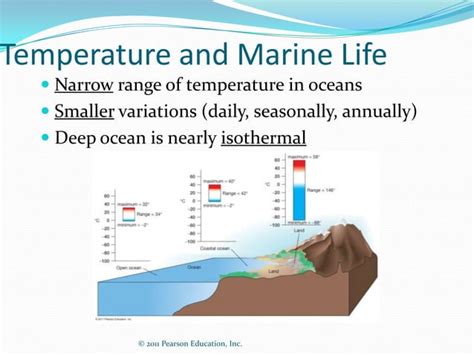 Adaptations of marine organisms