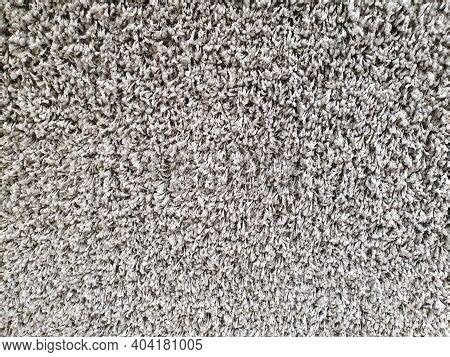 Gray Long Pile Carpet Image & Photo (Free Trial) | Bigstock