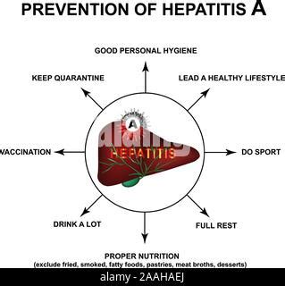 Prevention Of Hepatitis B World Hepatitis Day Infographics Vector