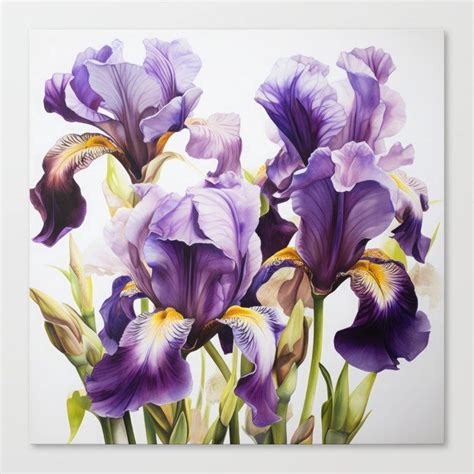 Shop Purple Irises Canvas Print By Vanoverdesigns On Society Flower