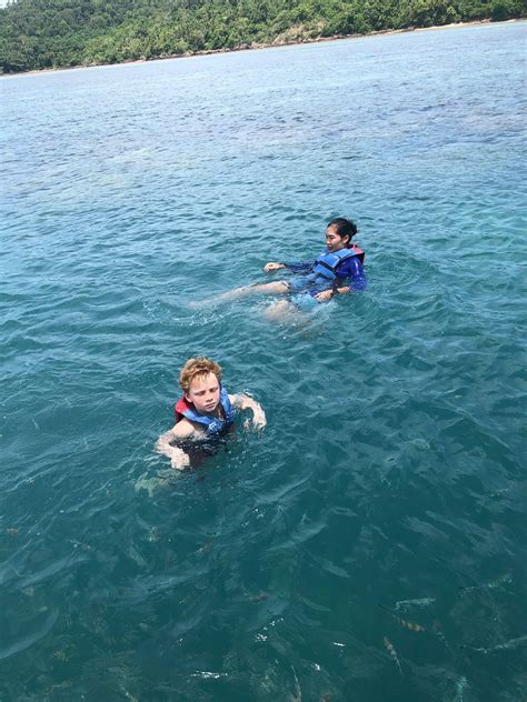 Pink Dolphin Spotting Snorkelling Day Tour Koh Samui Thailand