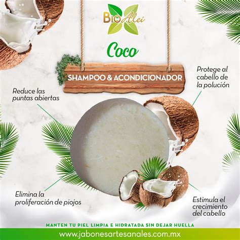 Shampoo Acondicionador S Lido Coco Bioalei Jabon Casero Recetas