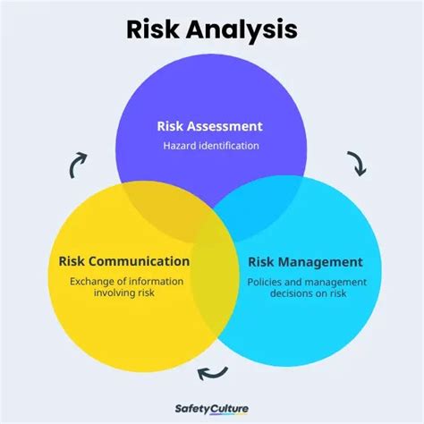 Risk Analysis Risk Analysts Guide By Pelin Okutan Medium