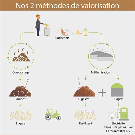 Ce qu il faut savoir sur les Biodéchets en entreprise valorisation