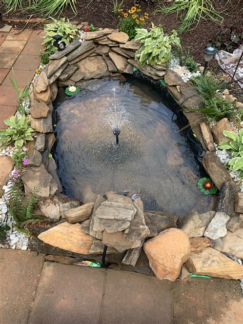 Turtle pond, good? : r/ponds