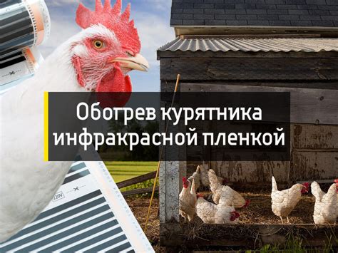 Инфракрасный обогреватель для курятника