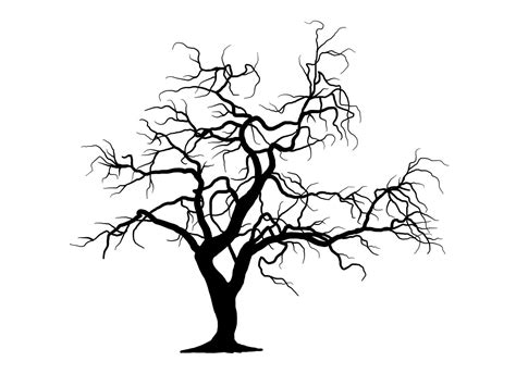 árbol de rama negra o siluetas de árboles desnudos ilustraciones