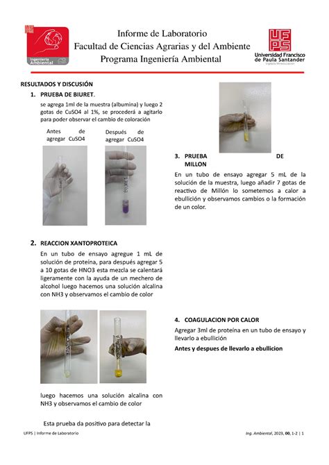 Resultados Lab Proteinas Resultados Y DiscusiÓn 1 Prueba De Biuret Se Agrega 1ml De La