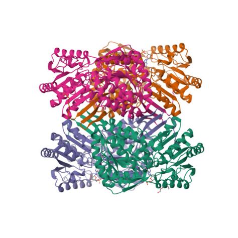 RCSB PDB 8VR0 Crystal Structure Of Betaine Aldehyde Dehydrogenase