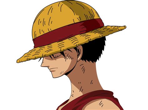 Luffy One Piece Rodenvine