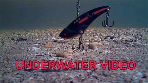 Fishing Savage Gear D Minnow Blade Lure Underwater Video Youtube