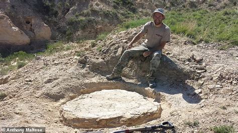 I'm a professional DINOSAUR hunter and I get paid to find rare fossils - Times News UK