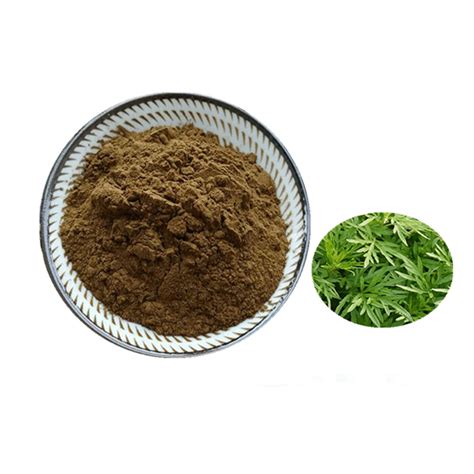 Artemisia Annua 30 1 Extract Powder Artemisinin EBay