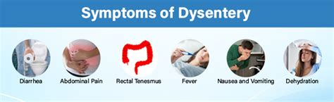 Dysentery: Causes, Symptoms, Treatment, and Preventions