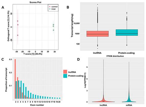 Titanium Dioxide Nanoparticles Altered The LncRNA Expression Profile In