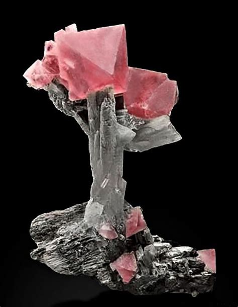 Pin By Sylvia Martel On Rocks Minerals In 2024 Rocks And Minerals