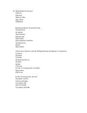 Reviewing Your Knowledge Exercise 12 Docx A Skeletal Muscle Structure