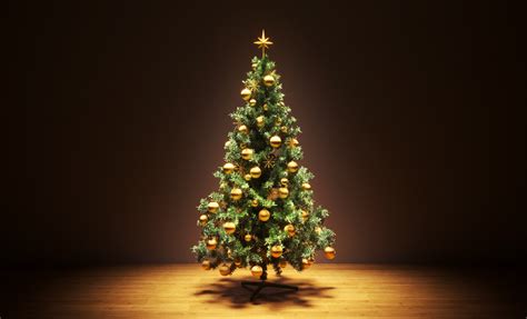 Symbolic Meaning Of The Christmas Tree On Whats Your Sign