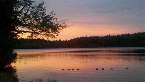 Terrace Pines Campground - Center Ossipee, New Hampshire - Campspot