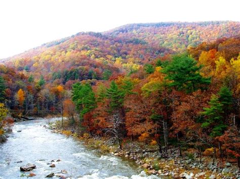 Goshen Pass, Virginia, photo by Eric Bartch | Natural landmarks, Appalachian mountains, Outdoor