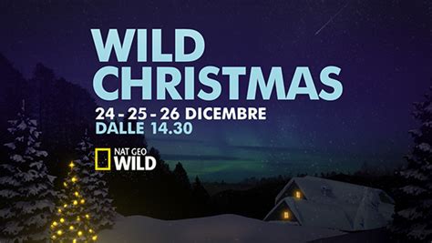 Wild Christmas Nat Geo Wild On Behance