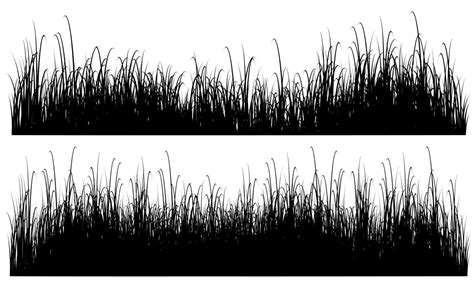 tall grass vector, meadow 8076334 Vector Art at Vecteezy