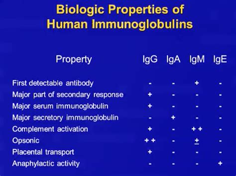 Clinical Presentation Of Primary Immunodeficiency Flashcards Quizlet