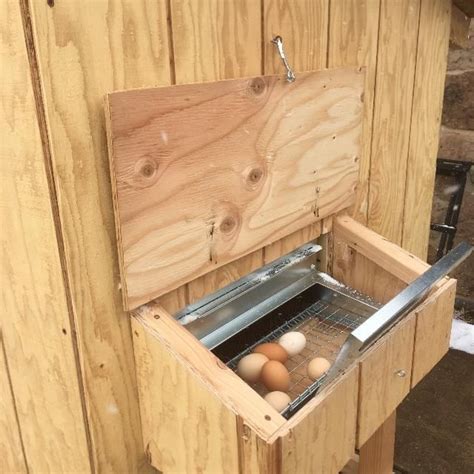 Roll Out Chicken Nesting Boxes