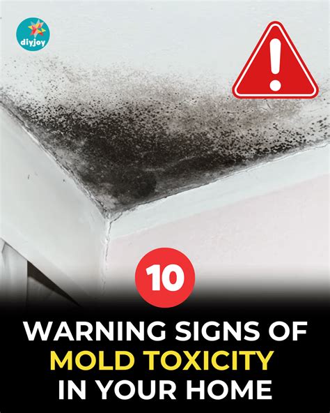 10 Warning Signs Of Mold Toxicity In Your Home