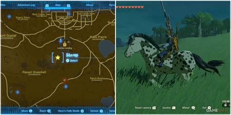 Zelda Tears Of The Kingdom Spotting Spot Quest Guide