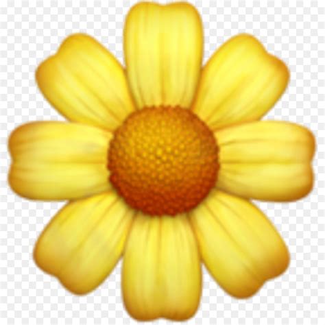 Emoji Flower Iphone Best Flower Site