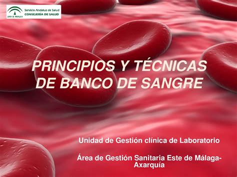 Principios Y Tecnicas En Banco De Sangre By Formacion Axarquia Issuu