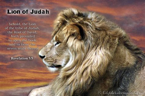 Lion Of Judah Wallpaper - WallpaperSafari