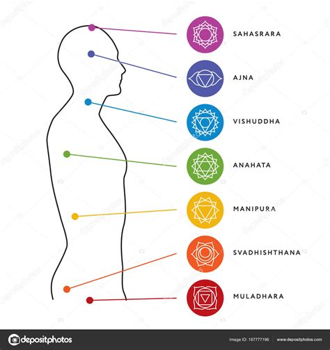 Sistema Chakra do corpo humano Centros energéticos imagem vetorial de