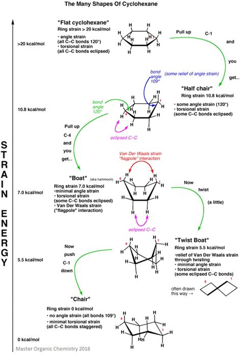 Axial and Equatorial | Facts, Summary & Definition | Chemistry Revision