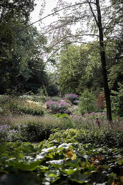 Chatsworth House Gardens — Mark Spencer