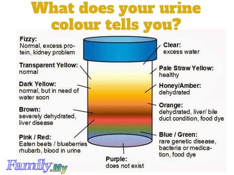 Liver Damage Urine Color - Infoupdate.org